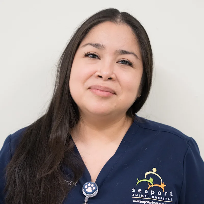 Erika Luzuriaga Erika Luzuriaga