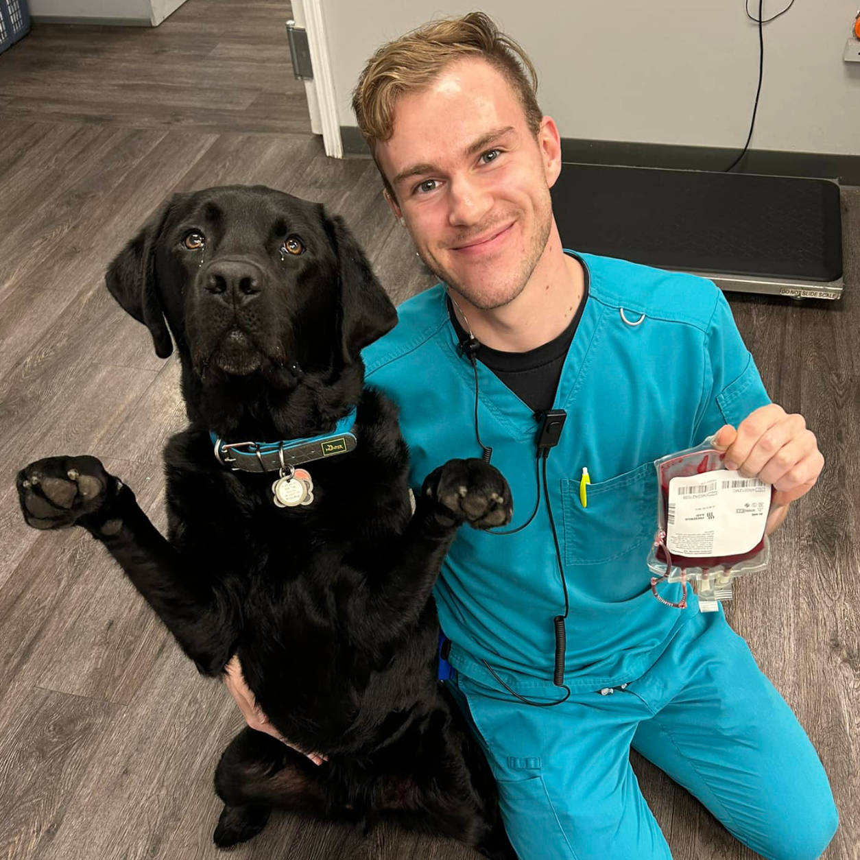 Staff member dressed in blue holding a blood bag and posing next to a black dog