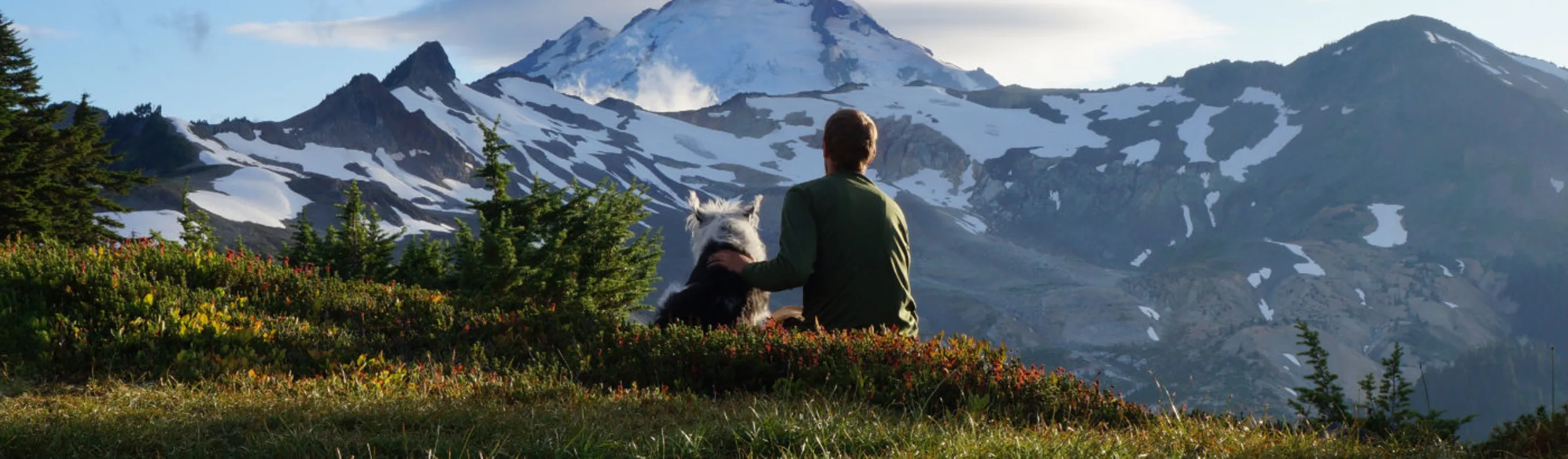 A person and dog sitting in in a field staring at a snowy mountain