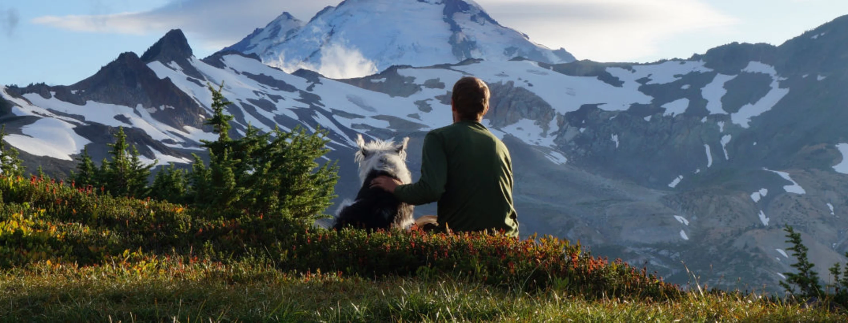 A person and dog sitting in in a field staring at a snowy mountain A person and dog sitting in in a field staring at a snowy mountain