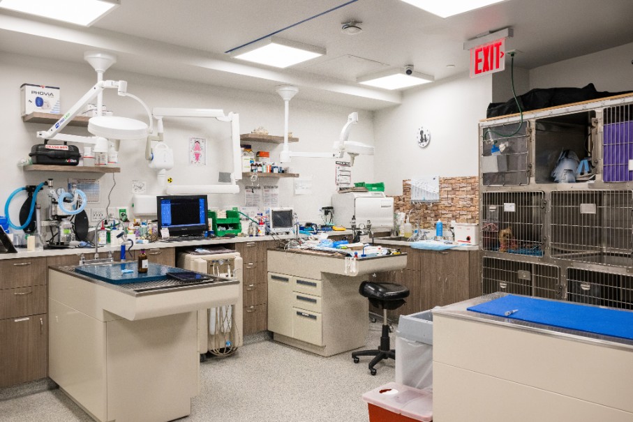Exam Tables Next to Kennels