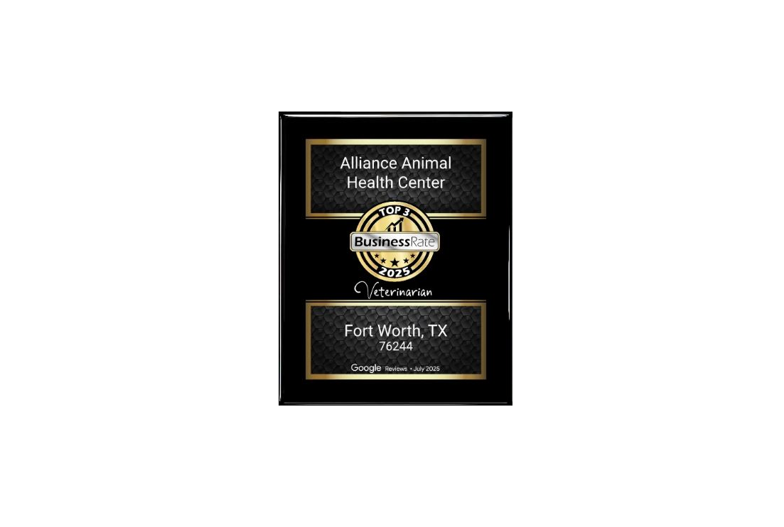 Business Rate Award 2025