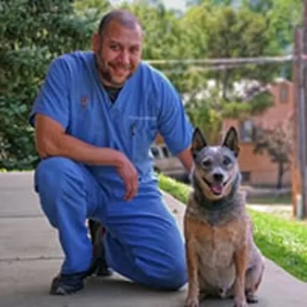 David Glover, DVM at Uintah Pet Emergency, with dog