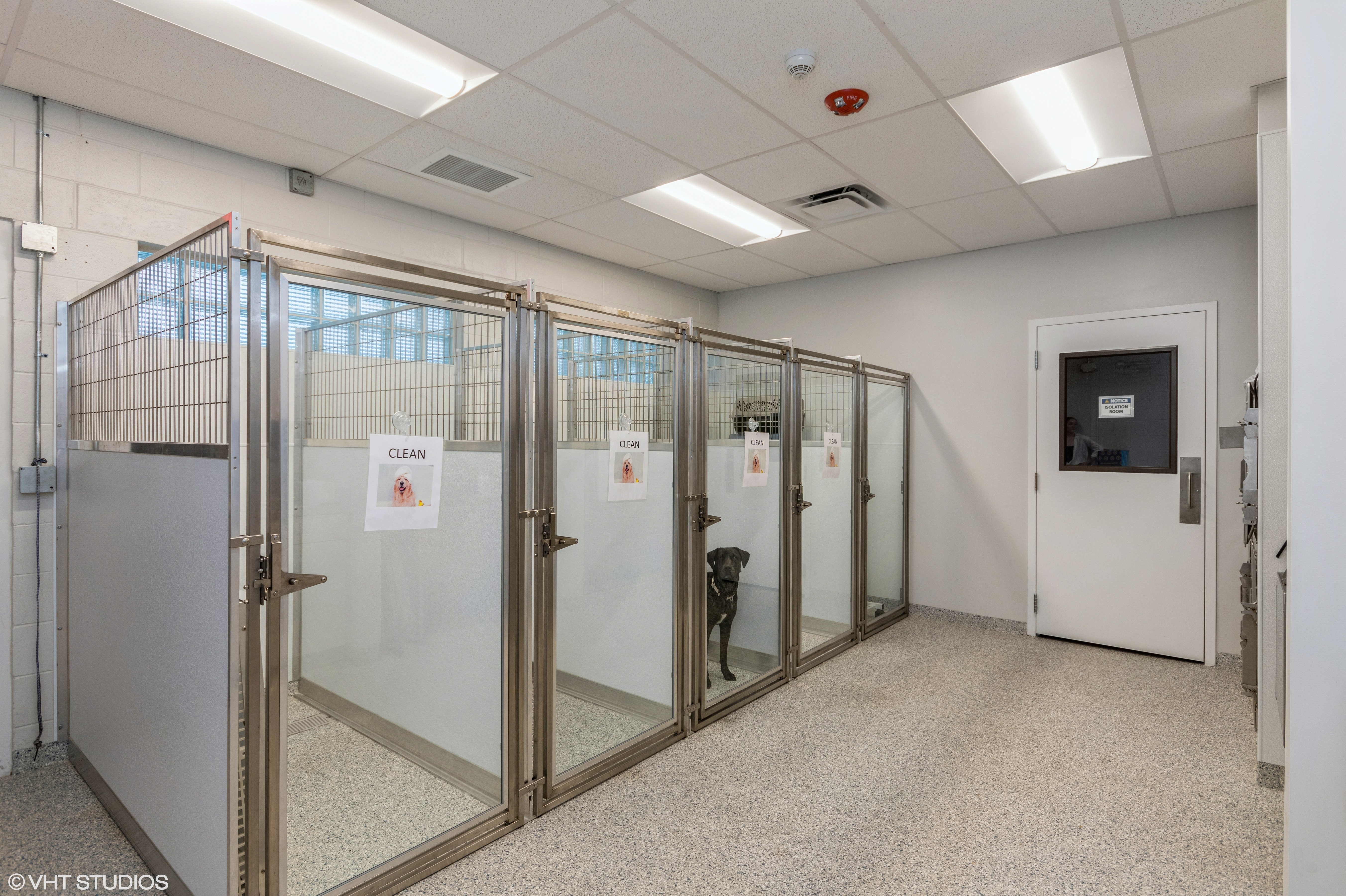 Kirkman Road Veterinary Clinic Recovery Room