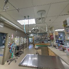Surgical Area