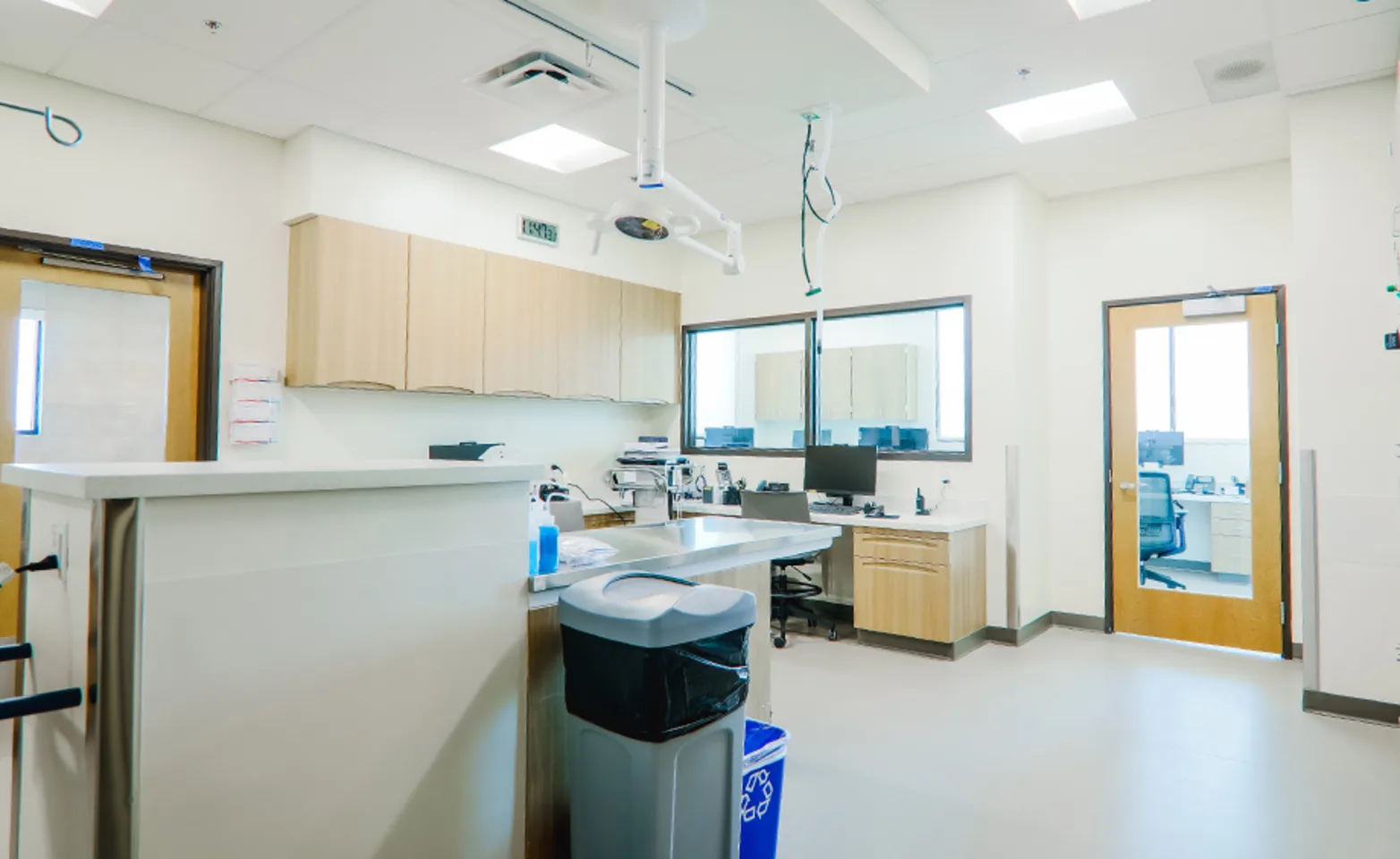 Internal Medicine Treatment Room inside ARISE Veterinary Center - Queen Creek Internal Medicine Treatment Room inside ARISE Veterinary Center - Queen Creek