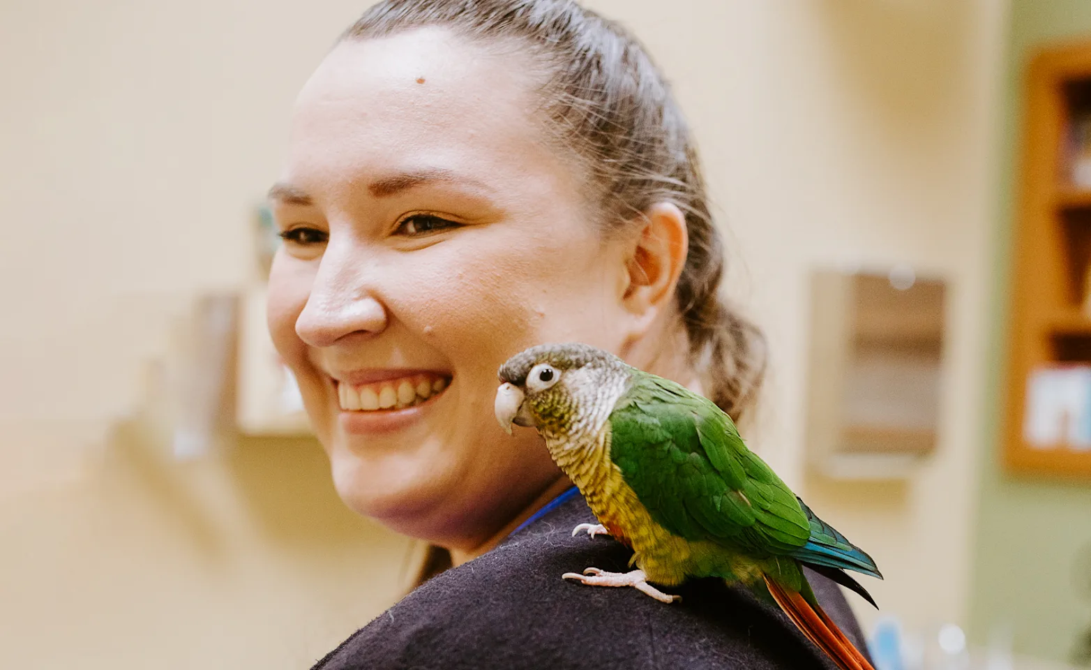 A smiling veterinary professional with a colorful bird sitting on her shoulder A smiling veterinary professional with a colorful bird sitting on her shoulder