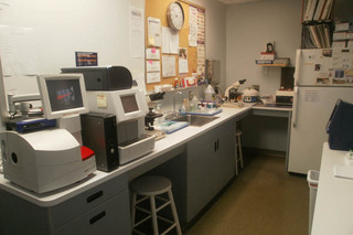Lab