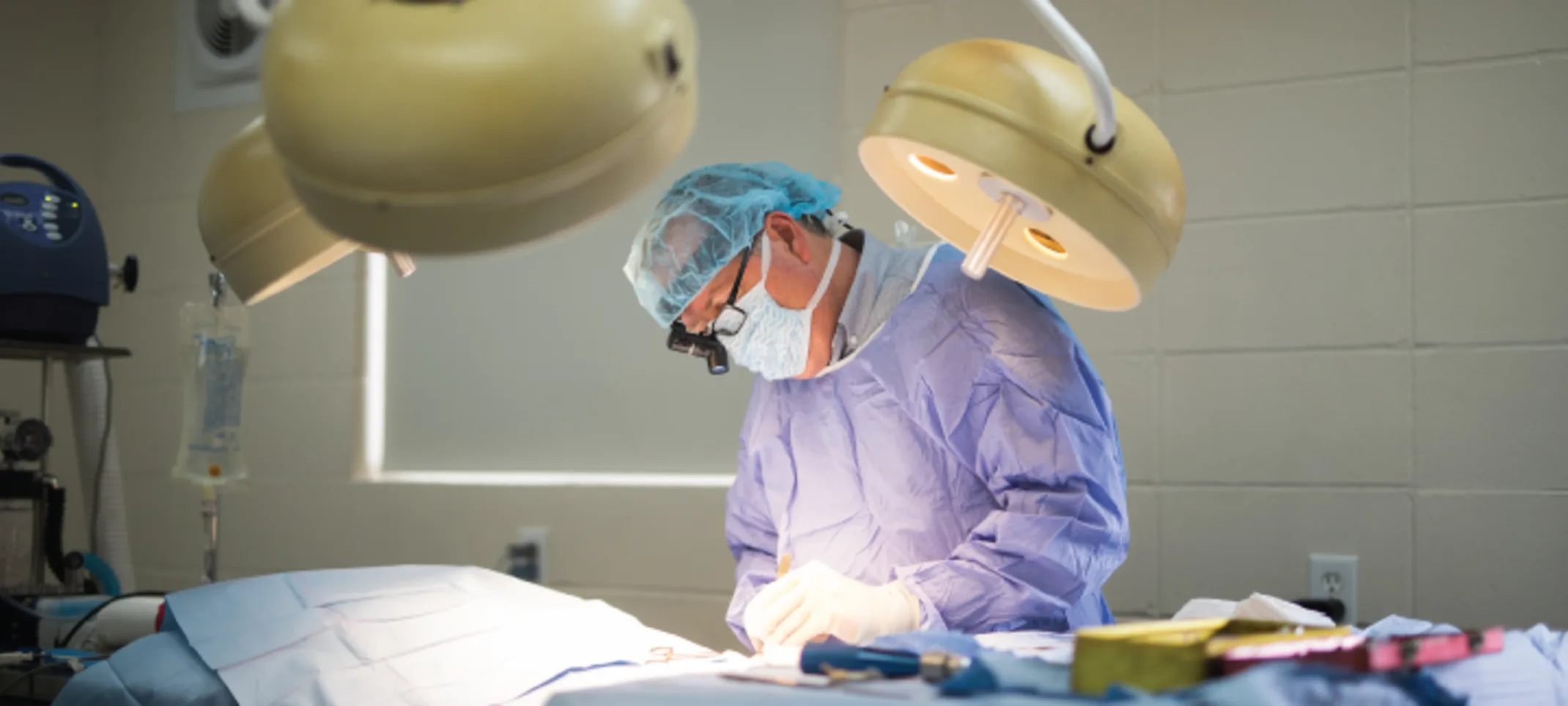 Veterinarian performing surgery on an animal