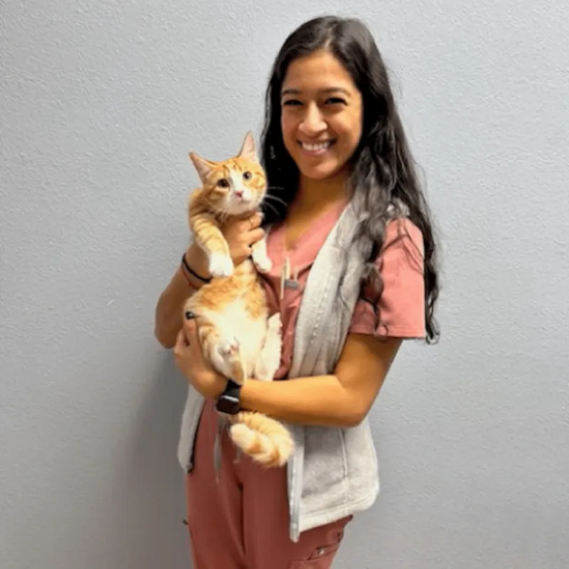 Dr. Meera Patel Dr. Meera Patel