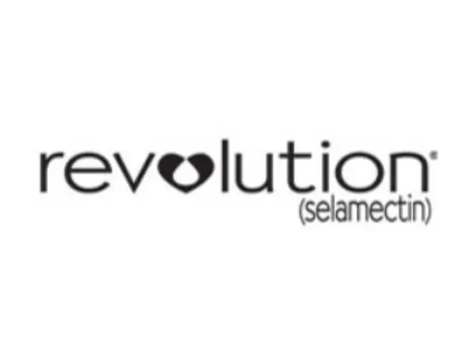 Revolution Logo Revolution Logo