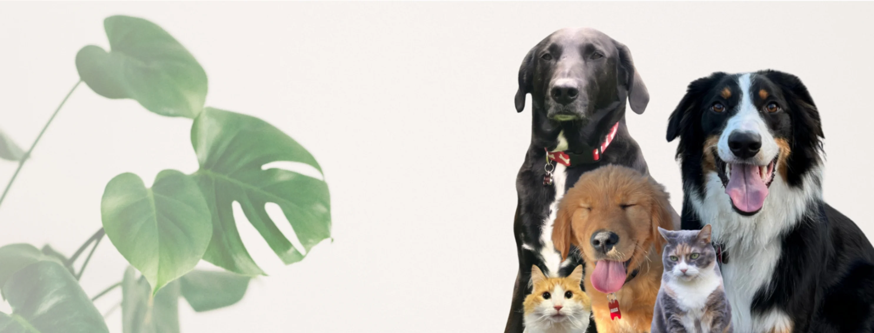 Welcoming Pets on Saturdays! Welcoming Pets on Saturdays!