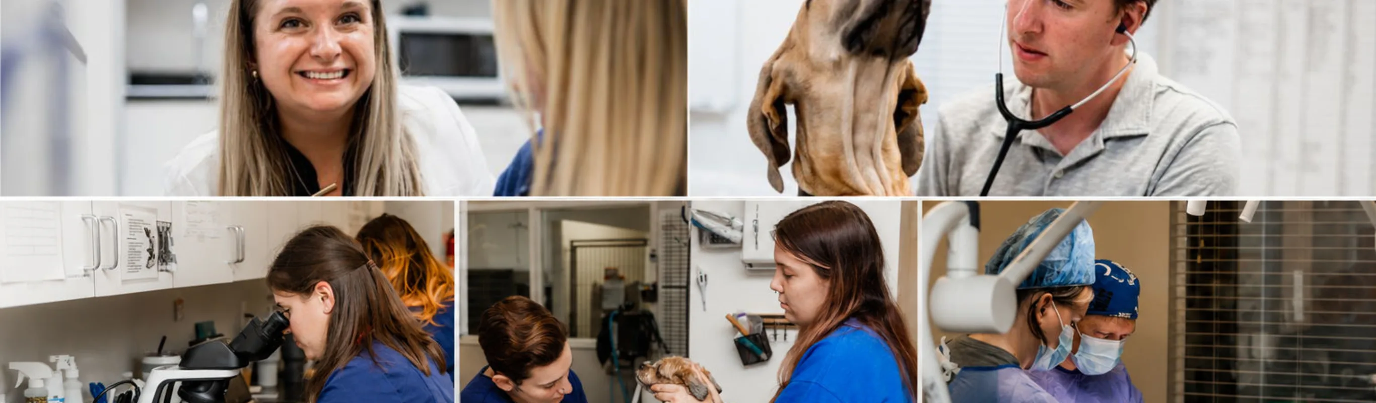 Collage of staff at Mechanicsville Animal Hospital. Collage of staff at Mechanicsville Animal Hospital.