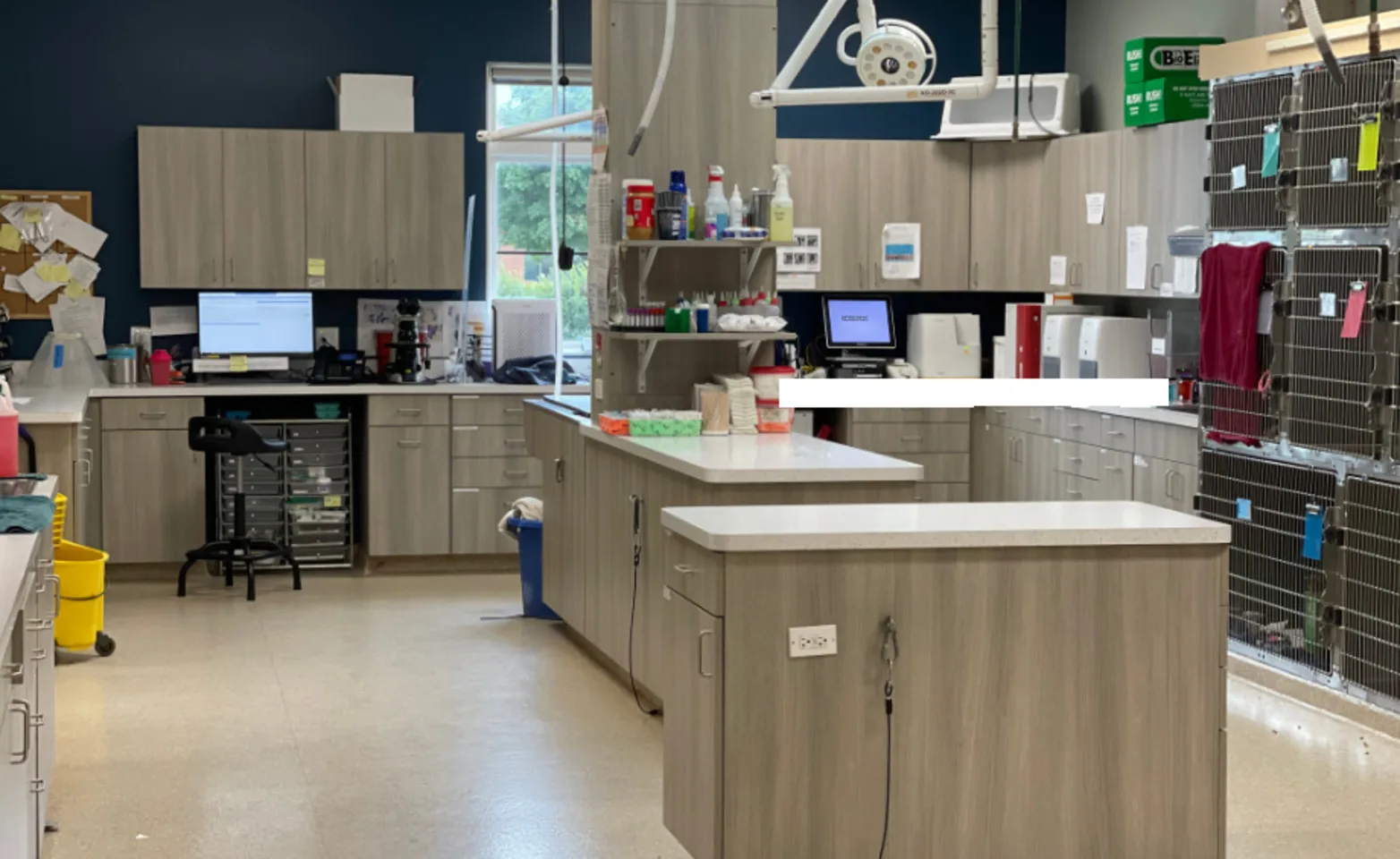 Care Area of Yorkville Animal Hospital Care Area of Yorkville Animal Hospital