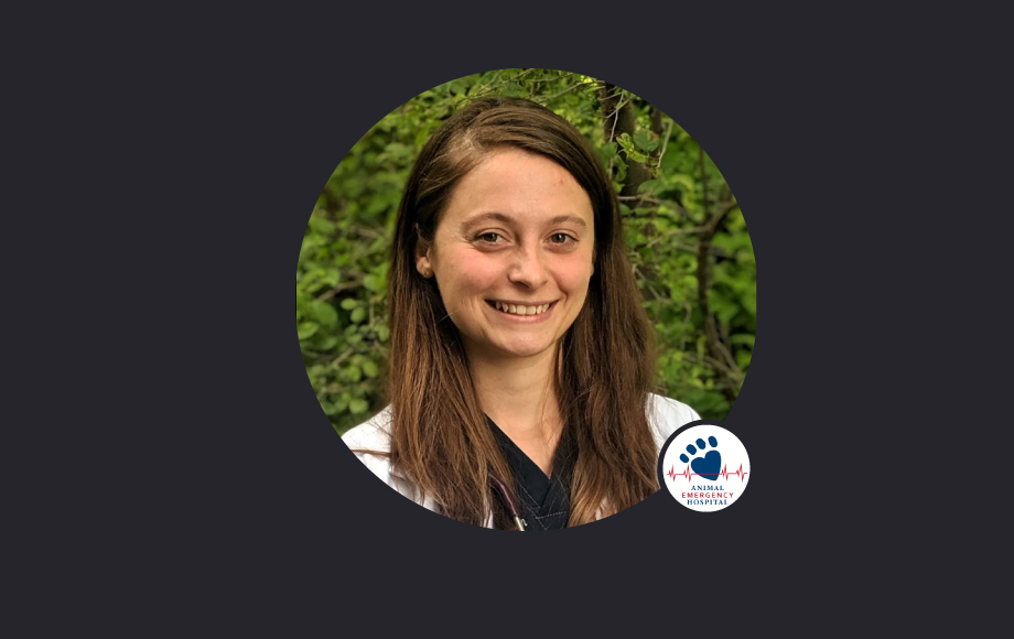 Careers Animal Emergency & Specialty Hospital Byron Center