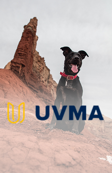 UVMA logo over image of dog in the desert