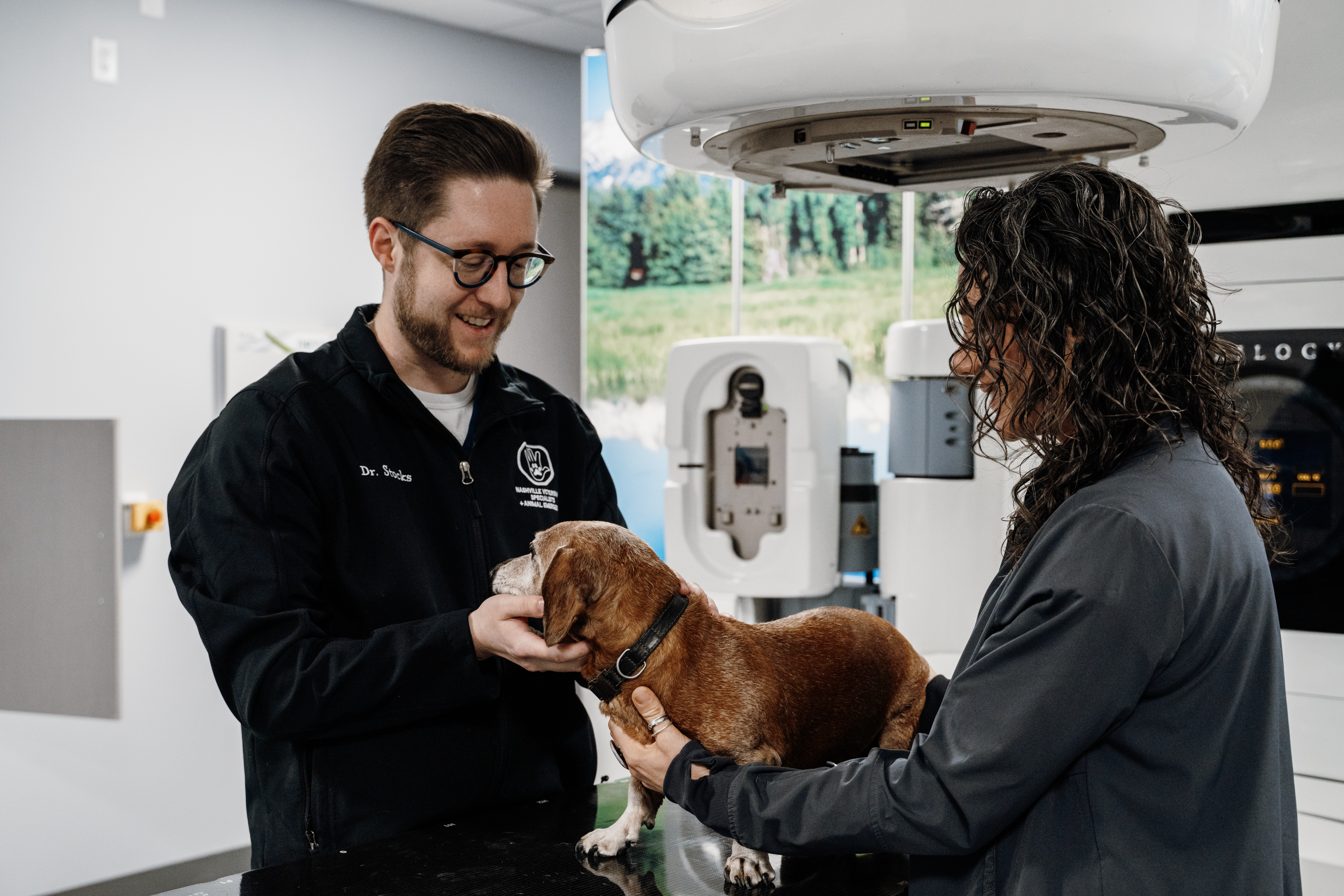 Dog receiving radiation therapy