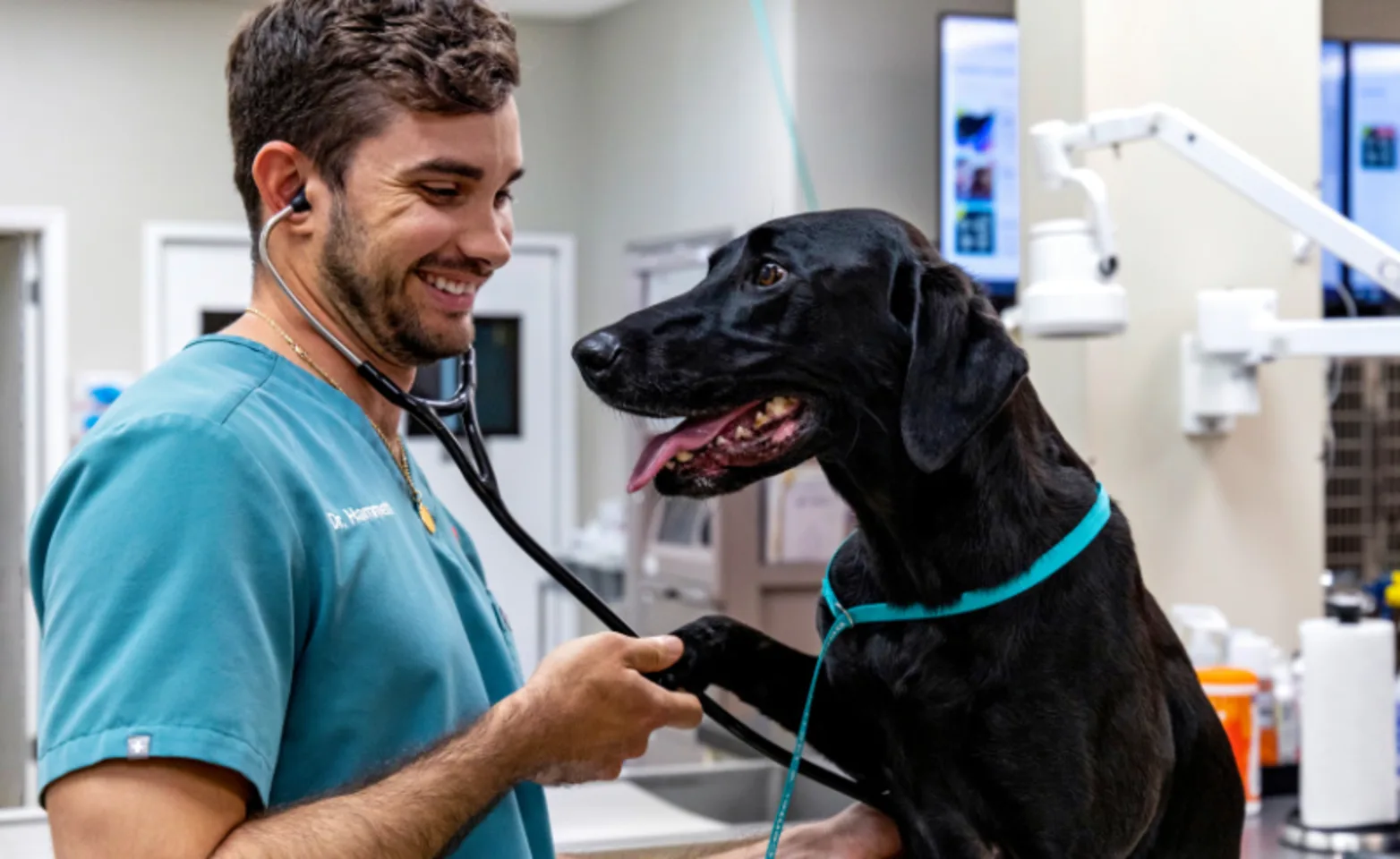 Staff Holding Dog's Paw Staff Holding Dog's Paw