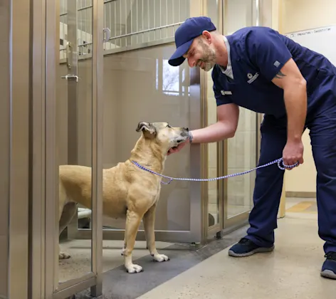 Training and Behavior Training and Behavior