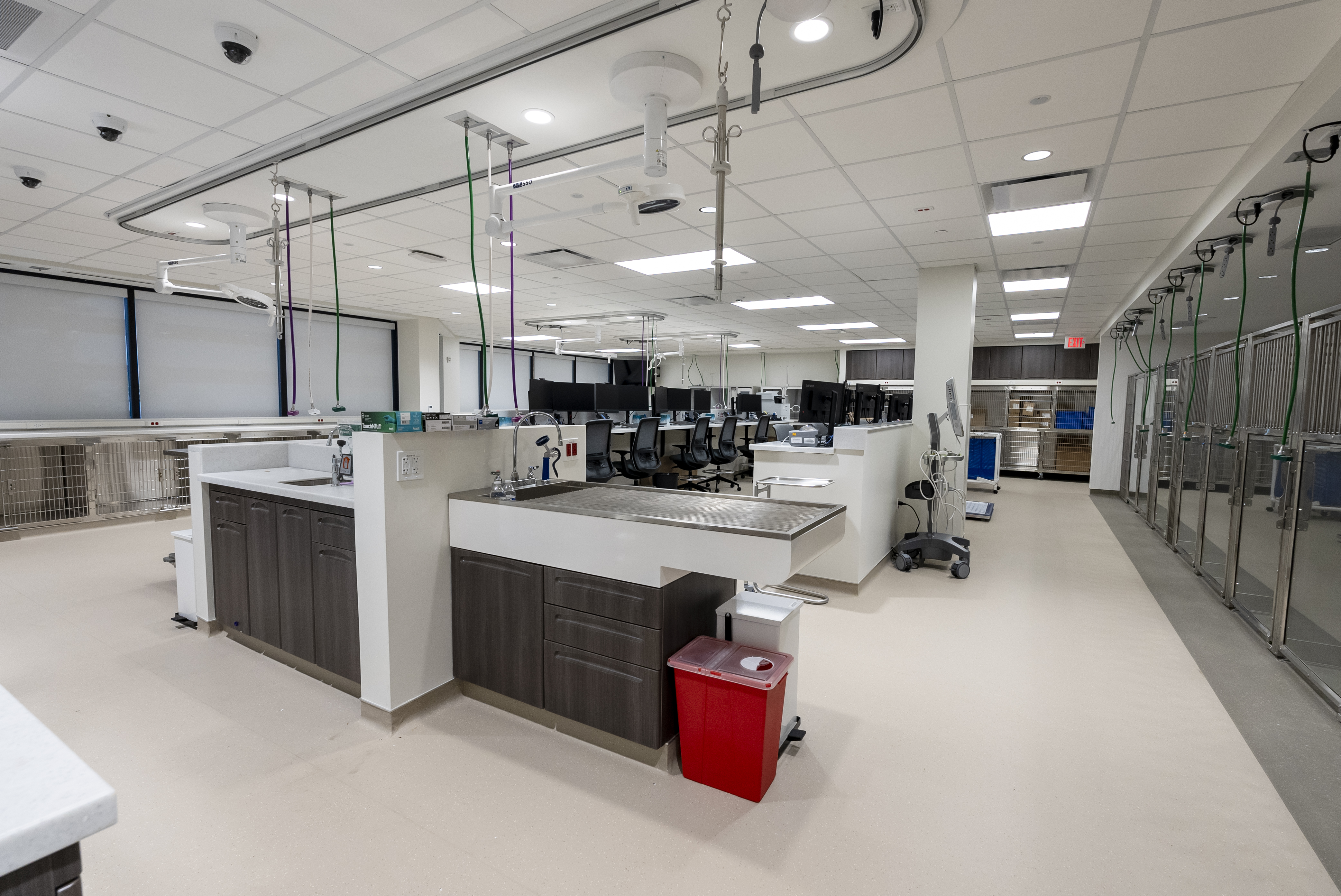 Red Bank Veterinary Hospital Tinton Falls new building interior