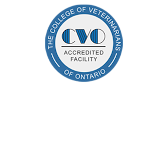 CVO Logo