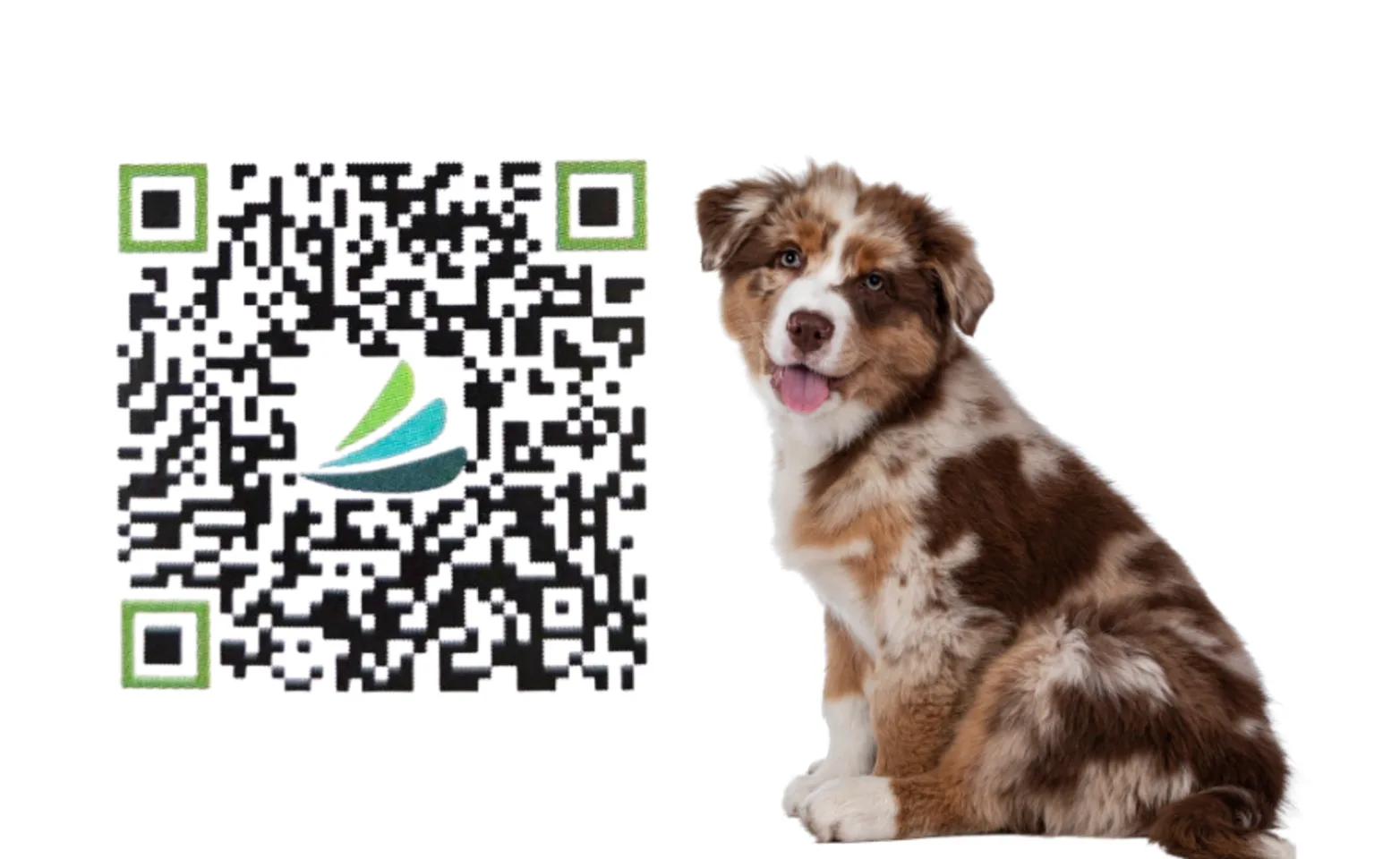 Hillsboro Animal Hospital - CareCredit QR Code Hillsboro Animal Hospital - CareCredit QR Code