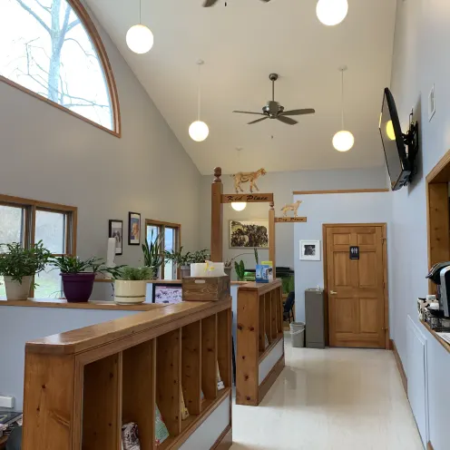 New Baltimore Animal Hospital Lobby Area