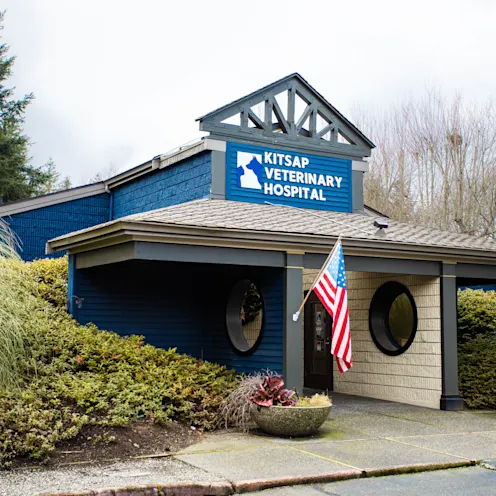 Kitsap Veterinary Hospital Exterior Kitsap Veterinary Hospital Exterior