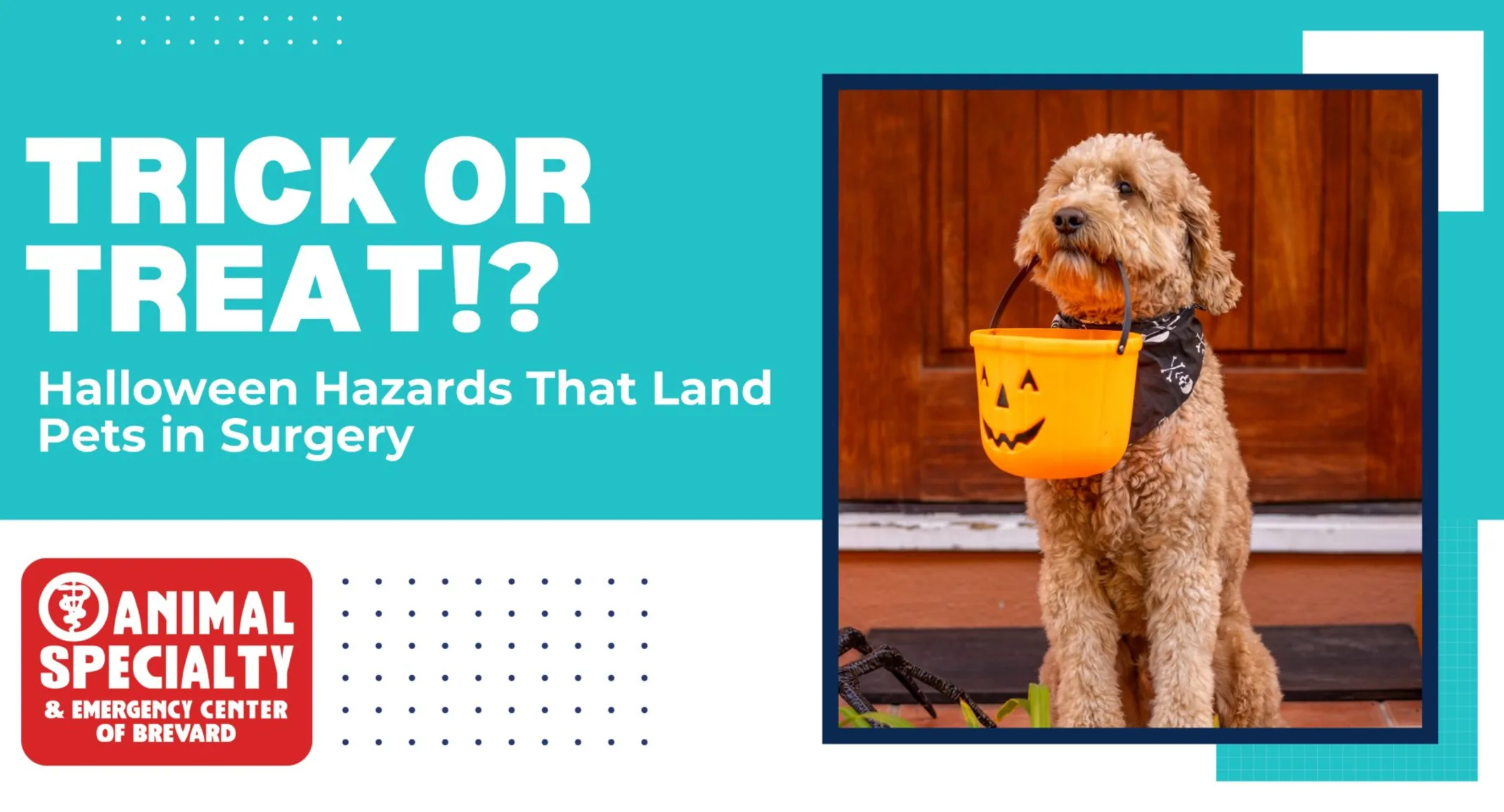 Halloween Safety Halloween Safety