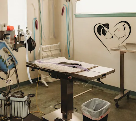 An operating table An operating table