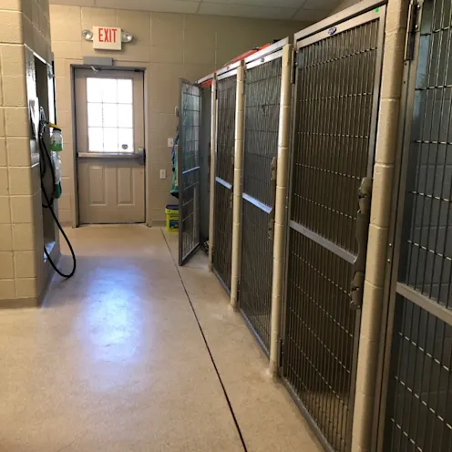 Dog Boarding Cages Niles Veterinary Clinic Dog Boarding Cages Niles Veterinary Clinic