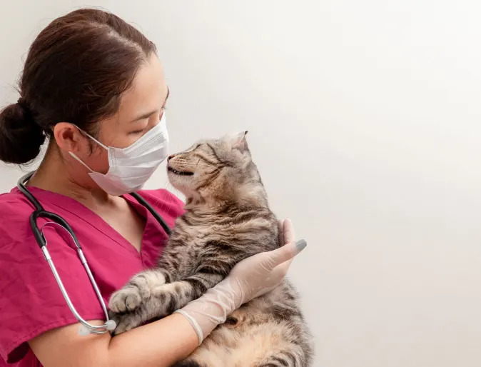 Staff wearing mask with cat