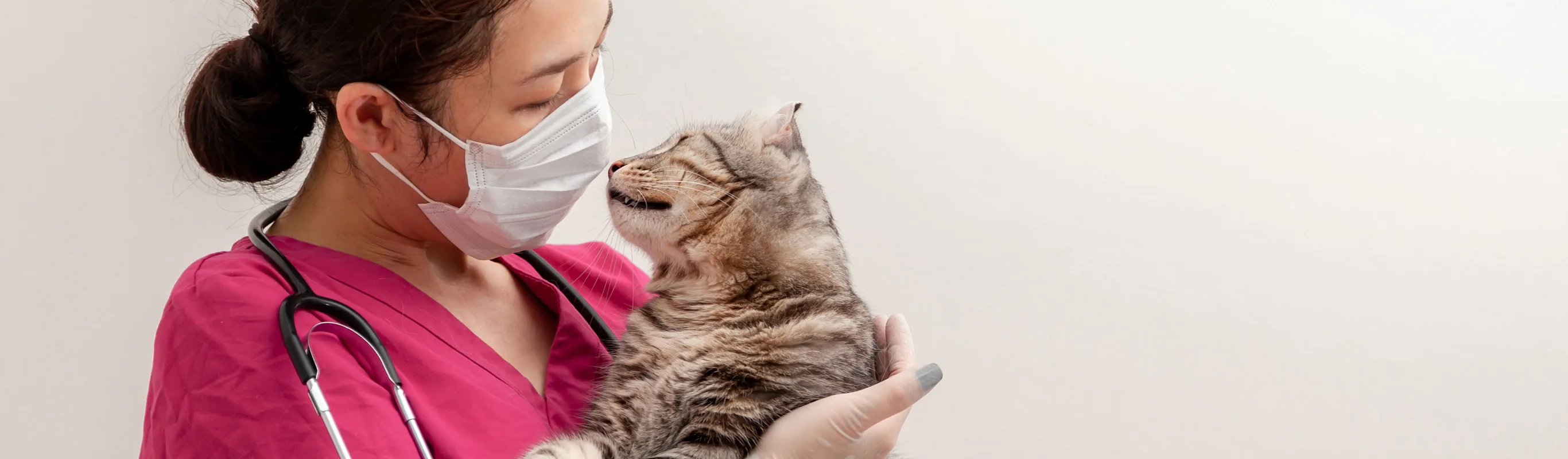 Staff wearing mask with cat