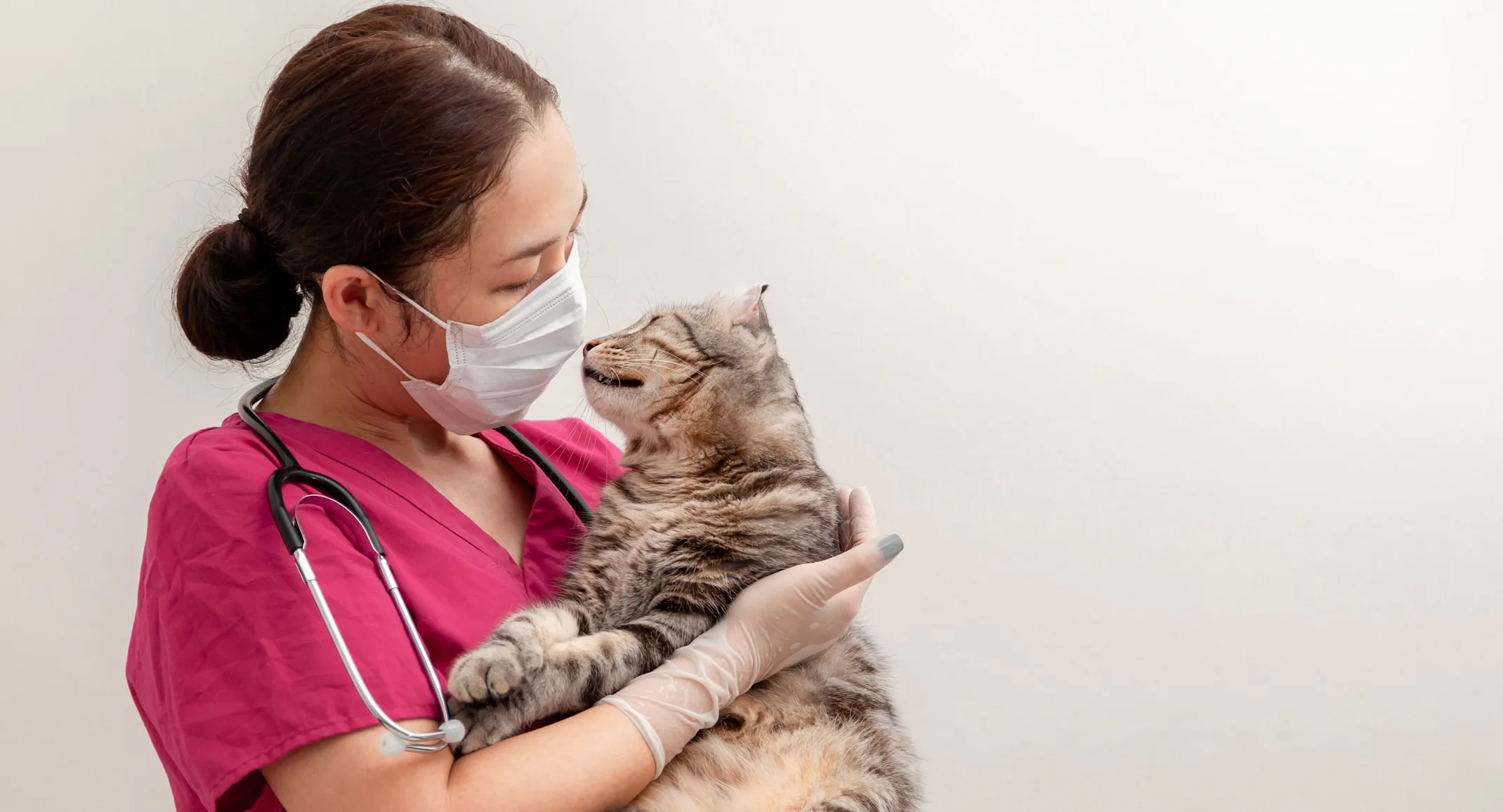Staff wearing mask with cat Staff wearing mask with cat