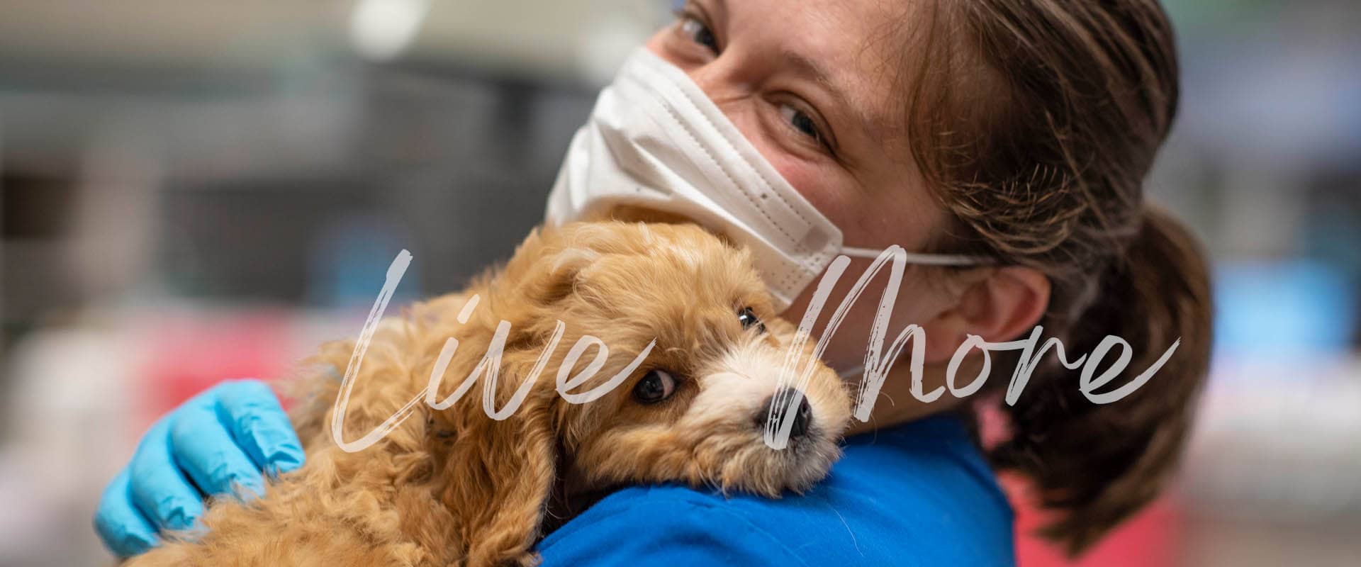 Vet Tech with a dog