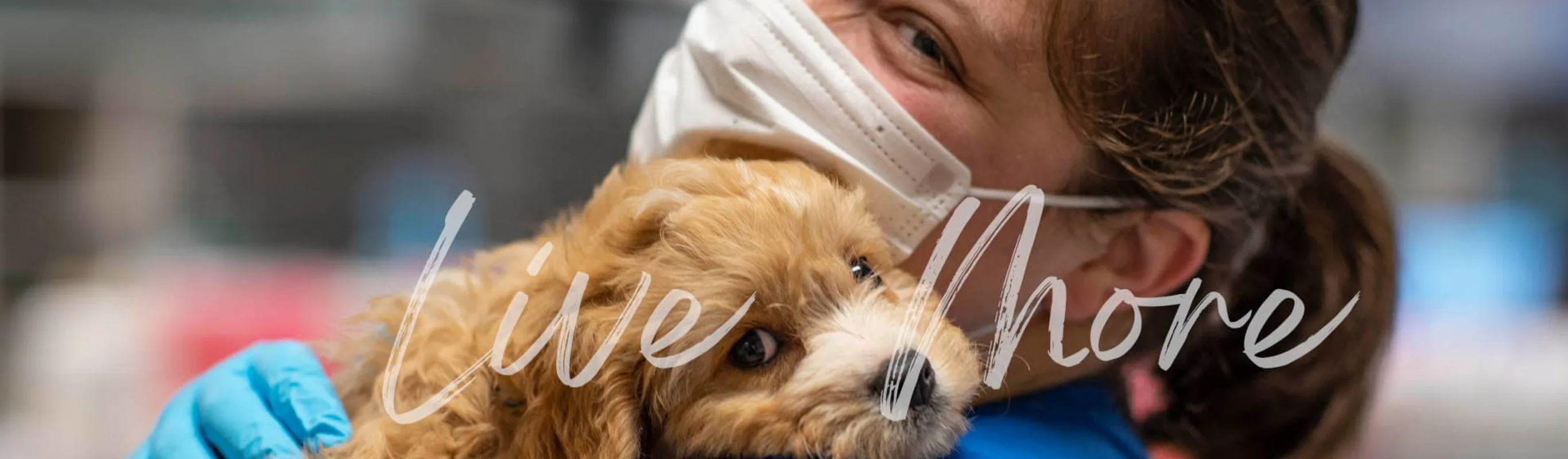 Vet Tech with a dog Vet Tech with a dog
