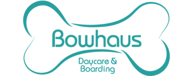 Bowhaus Logo Bowhaus Logo