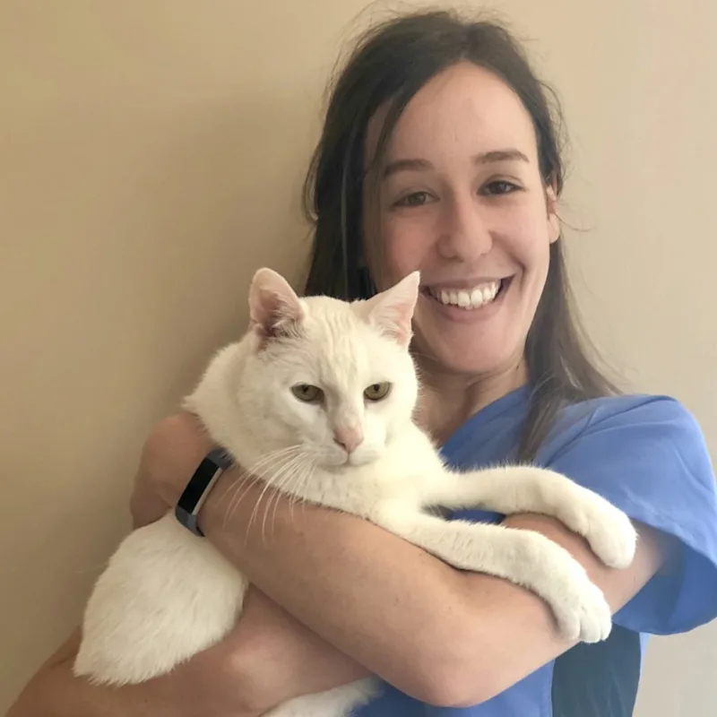 Jessa B holding a cat at Middlesex County Animal Hospital Jessa B holding a cat at Middlesex County Animal Hospital