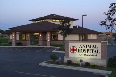 Front Exterior of Animal Hospital of Woodstock