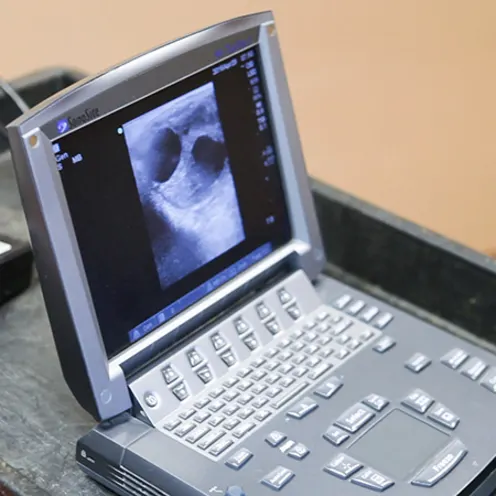 A piece of imaging equipment used by Retama Equine Hospital