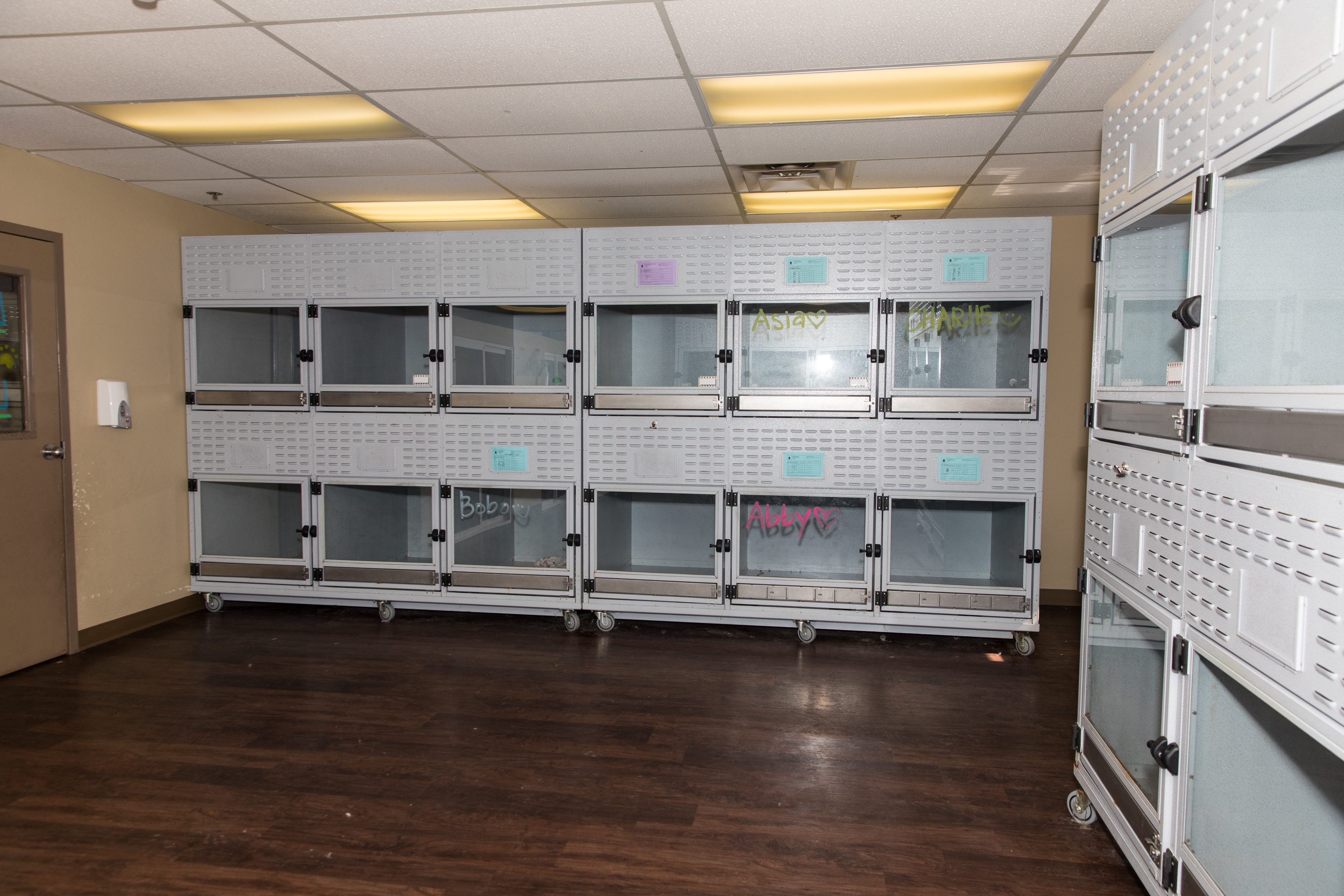 Doggie District - Mesa - Boarding