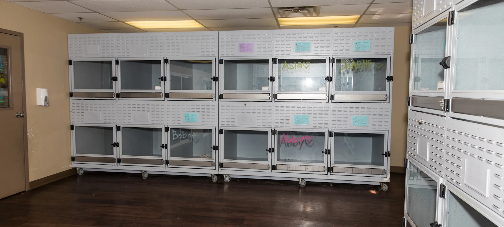 Doggie District - Mesa - Boarding Doggie District - Mesa - Boarding