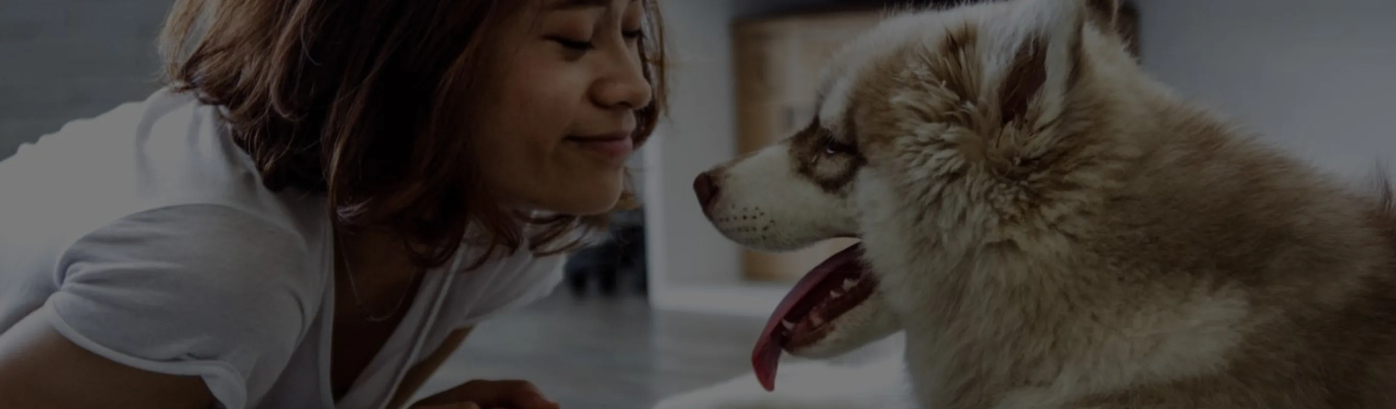 Woman and dog smiling at each other inside. Woman and dog smiling at each other inside.