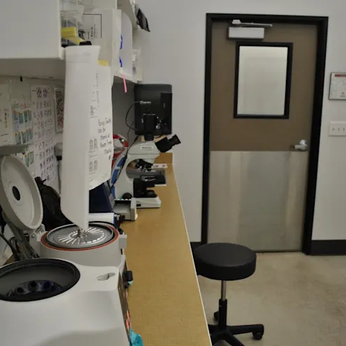 Laboratory at Fresno Veterinary Specialty & Emergency Center Laboratory at Fresno Veterinary Specialty & Emergency Center