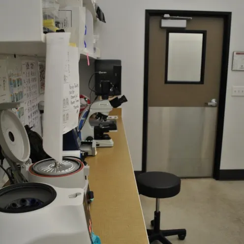 Laboratory at Fresno Veterinary Specialty & Emergency Center