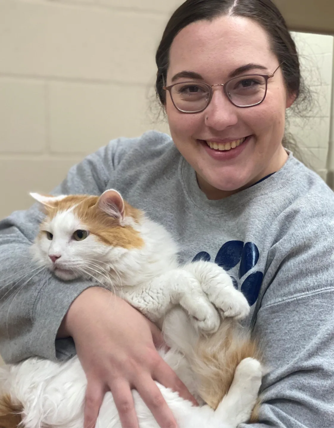 Lauren Ellis, HM at Jubilee Pet Hospital Lauren Ellis, HM at Jubilee Pet Hospital