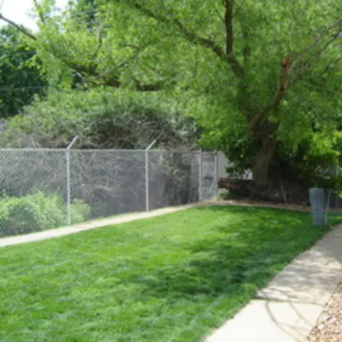 Florissant Animal Hospital Yard and Fence