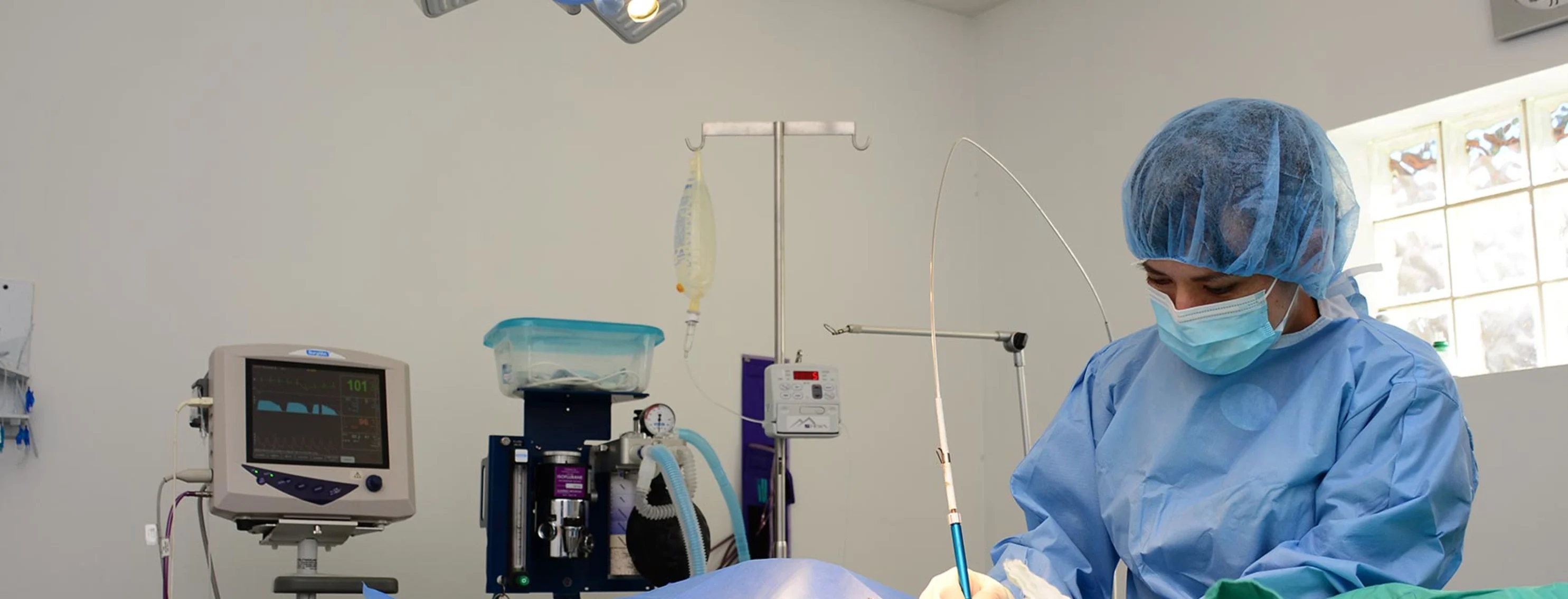 A female staff member in surgical scrubs performing a procedure on a patient. 