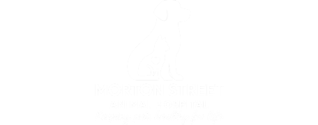 Morton Street Animal Hospital Logo Morton Street Animal Hospital Logo