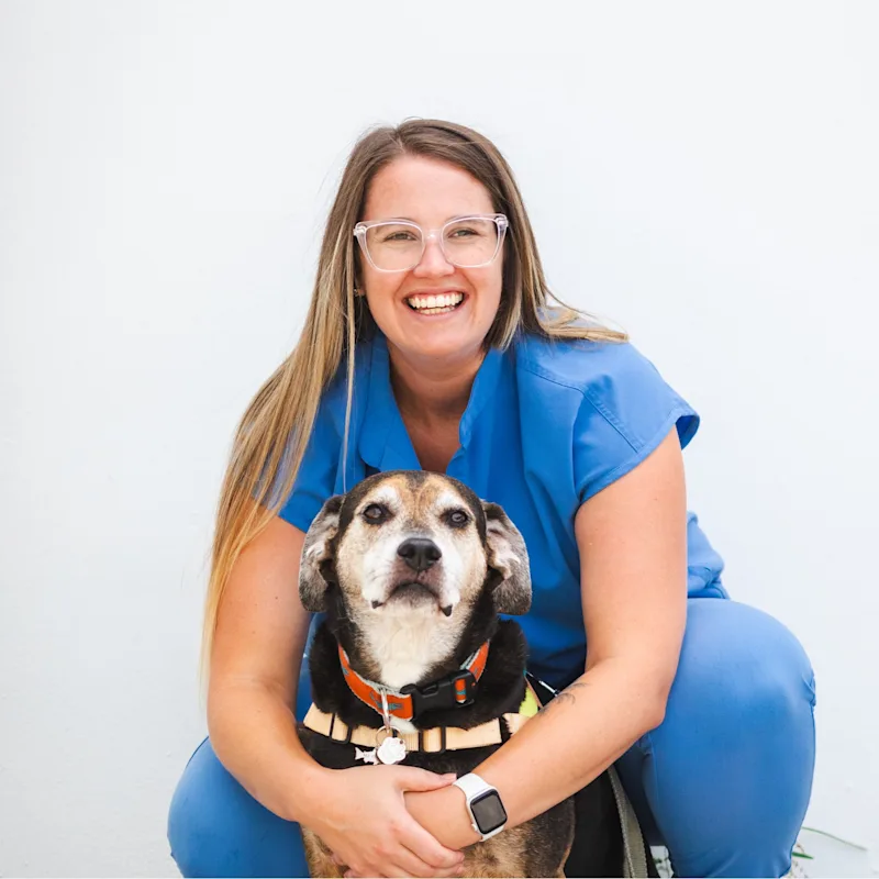 Brittany Bowsher, DVM Brittany Bowsher, DVM